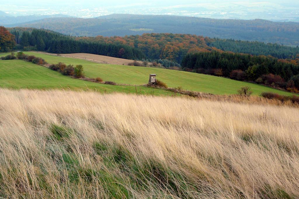 Gaestehaus Am Raeuschenberg Höxter Kültér fotó